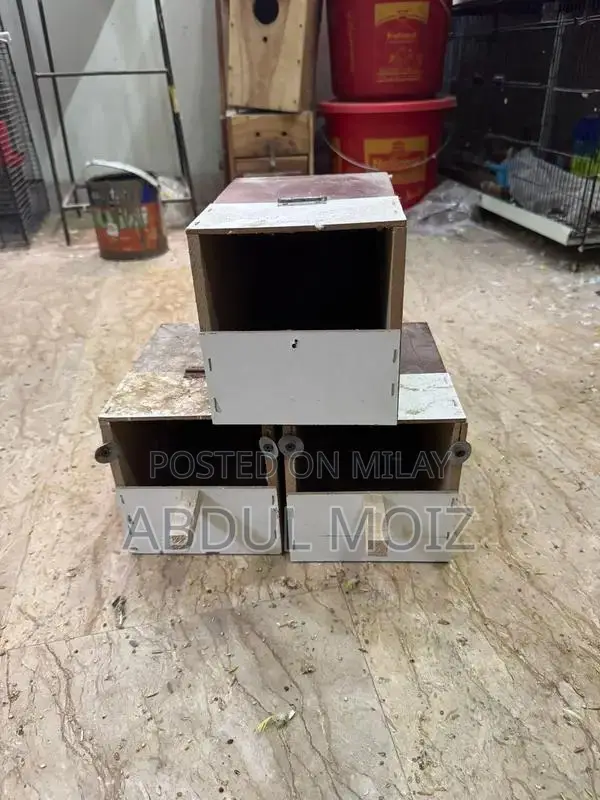 Budgie Bird Breeding Boxes for Love Birds and Java Finches