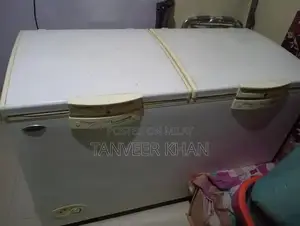 Photo - Double Door Freezer - Good Working Condition, Minor Cleaning Needed