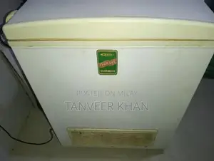 Double Door Freezer - Good Working Condition, Minor Cleaning Needed