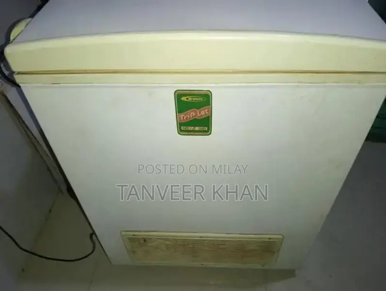 Double Door Freezer - Good Working Condition, Minor Cleaning Needed