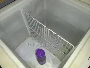 Double Door Freezer - Good Working Condition, Minor Cleaning Needed