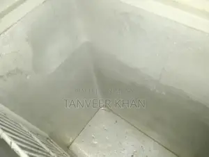 Double Door Freezer - Good Working Condition, Minor Cleaning Needed