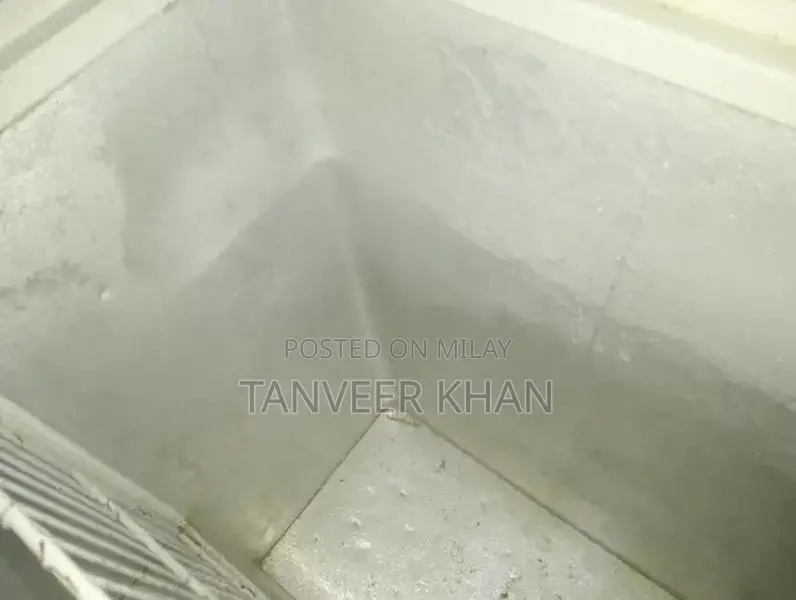 Double Door Freezer - Good Working Condition, Minor Cleaning Needed