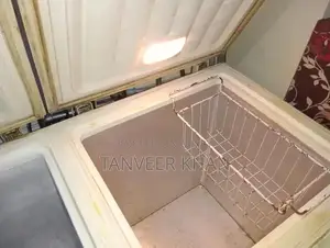 Double Door Freezer - Good Working Condition, Minor Cleaning Needed