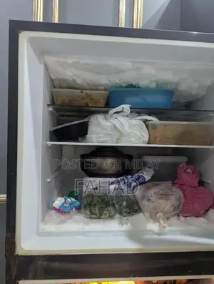 Dawlance Refrigerator - Well-Maintained Home Appliance