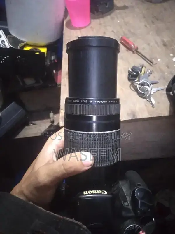 Canon 450D DSLR Camera with EF-S 75-300mm Telephoto Lens