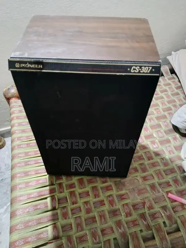 High-Performance CS 307 Compact Speaker