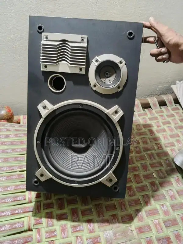 High-Performance CS 307 Compact Speaker