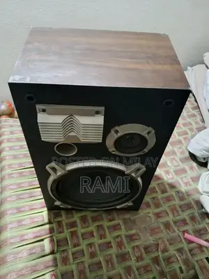 High-Performance CS 307 Compact Speaker