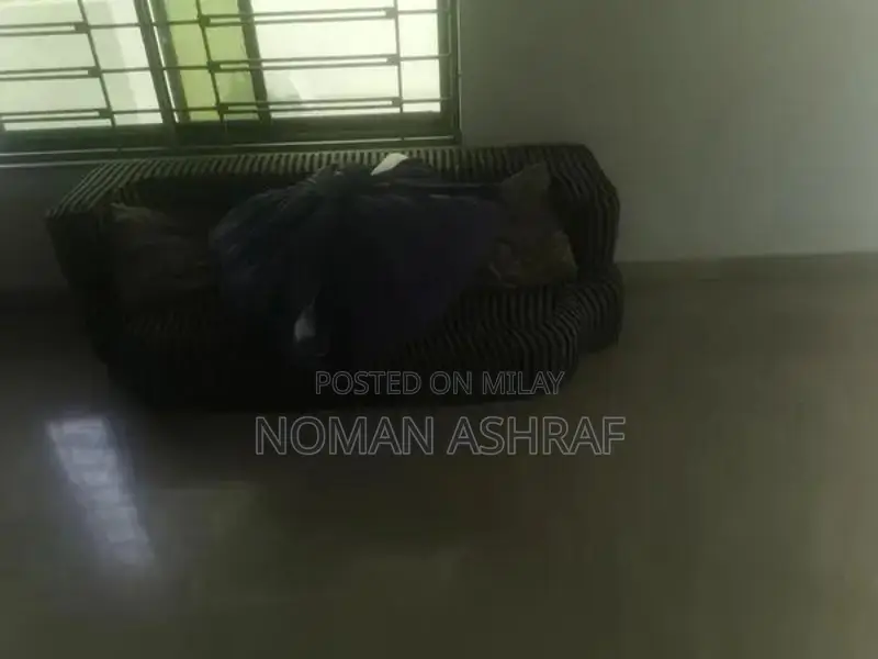 Modern Two-Piece Sofa Bed Set in Excellent Condition