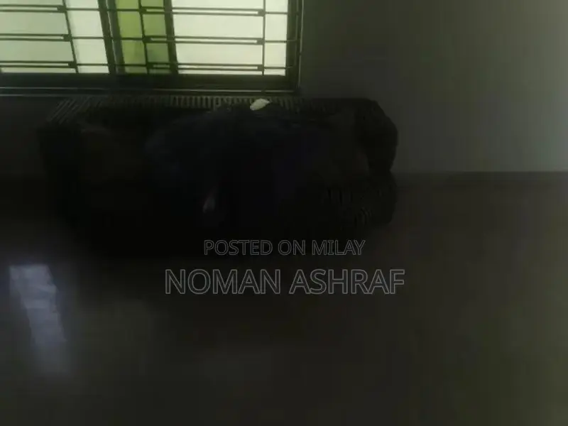 Modern Two-Piece Sofa Bed Set in Excellent Condition