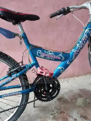 Photo - Evolution Cycle 24-Inch Bicycle in Good Condition