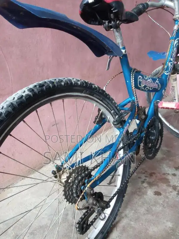 Evolution Cycle 24-Inch Bicycle in Good Condition