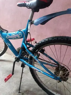 Evolution Cycle 24-Inch Bicycle in Good Condition