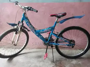 Evolution Cycle 24-Inch Bicycle in Good Condition