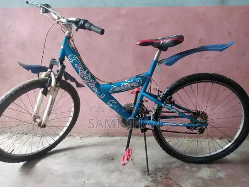 Evolution Cycle 24-Inch Bicycle in Good Condition