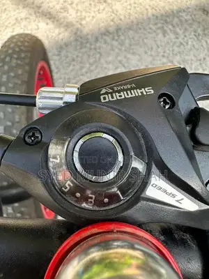 Fat Bike with Shimano 11-Speed Disc Brake System