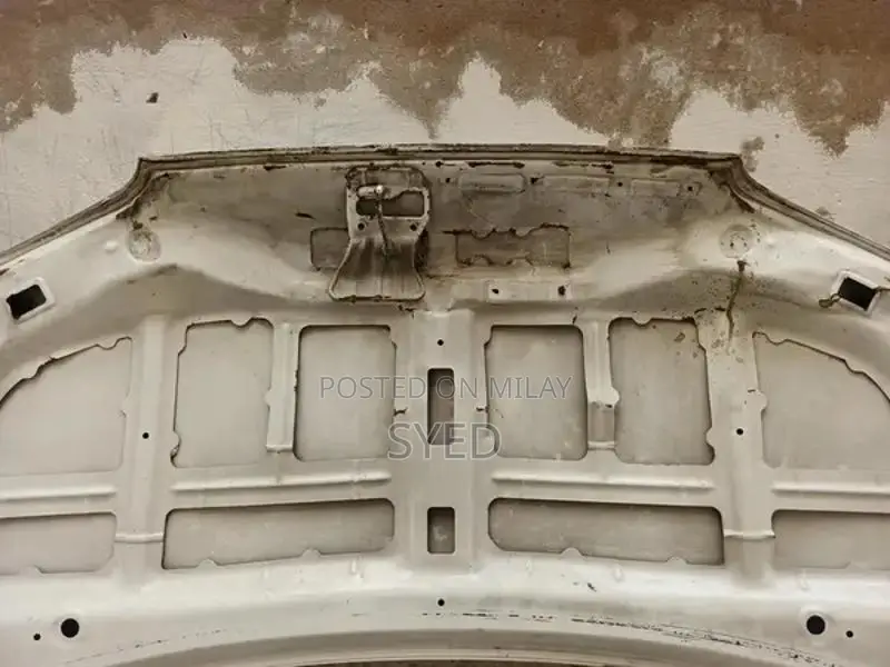 Suzuki Alto Genuine Replacement Bonnet Hood - New Model Design