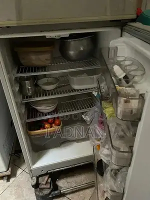 Dawlence Refrigerator - Well-Maintained Home Appliance