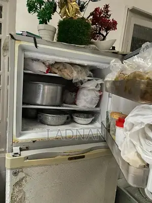 Dawlence Refrigerator - Well-Maintained Home Appliance