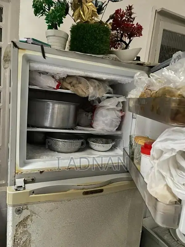 Dawlence Refrigerator - Well-Maintained Home Appliance