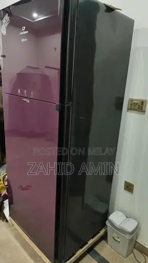 Modern Refrigerator with Advanced Cooling Technology