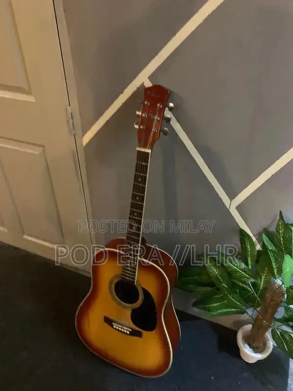 Professional and Beginner Acoustic Guitars Multiple Styles