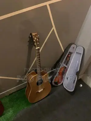 Professional and Beginner Acoustic Guitars Multiple Styles