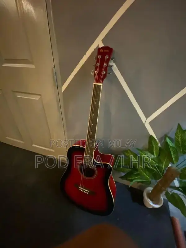 Professional and Beginner Acoustic Guitars Multiple Styles