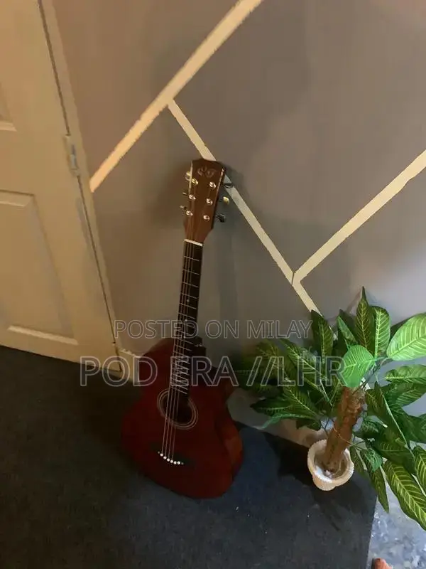 Professional and Beginner Acoustic Guitars Multiple Styles