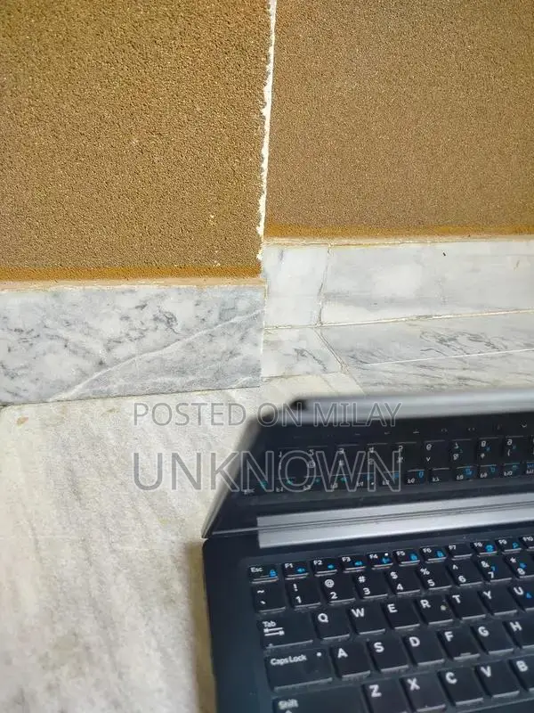 Dell Latitude 7380 Business Laptop - Some Cosmetic Issues