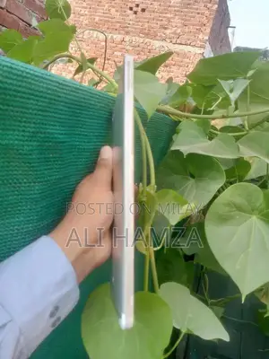 Docomo Dtab Tablet with 32GB Storage