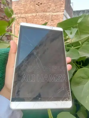 Docomo Dtab Tablet with 32GB Storage