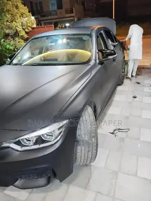 Professional Car Wrap and Paint Protection Film Services