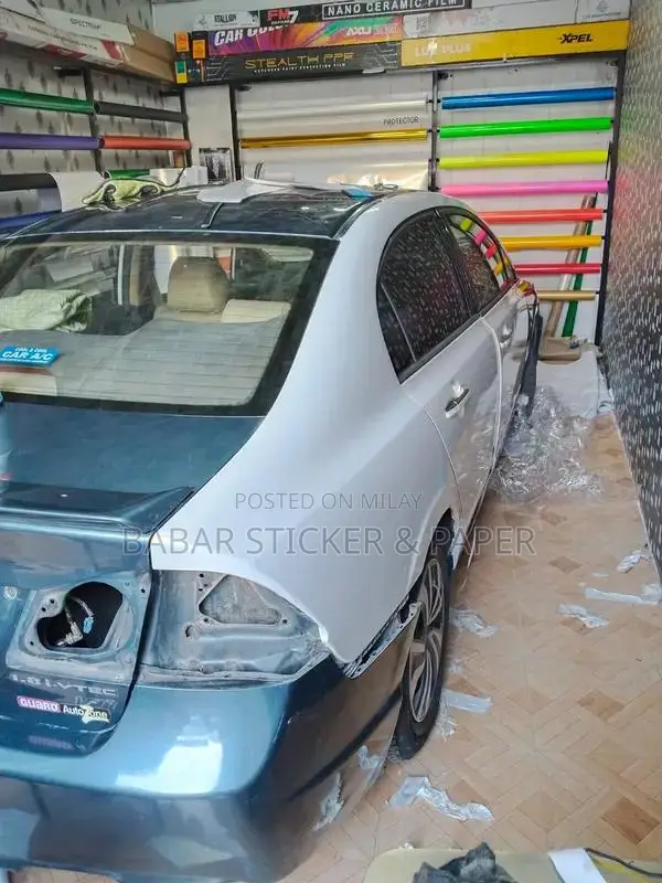 Professional Car Wrap and Paint Protection Film Services