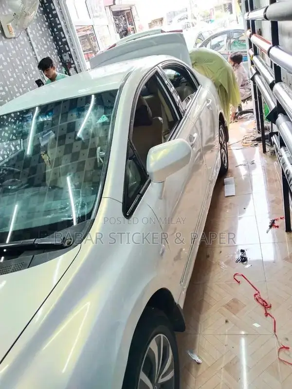 Professional Car Wrap and Paint Protection Film Services