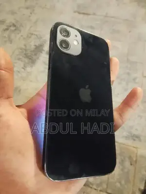 Photo - iPhone 12 64GB Smartphone with Display Issue