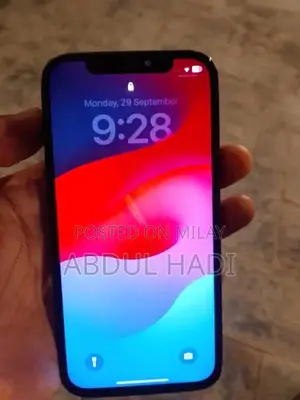 iPhone 12 64GB Smartphone with Display Issue