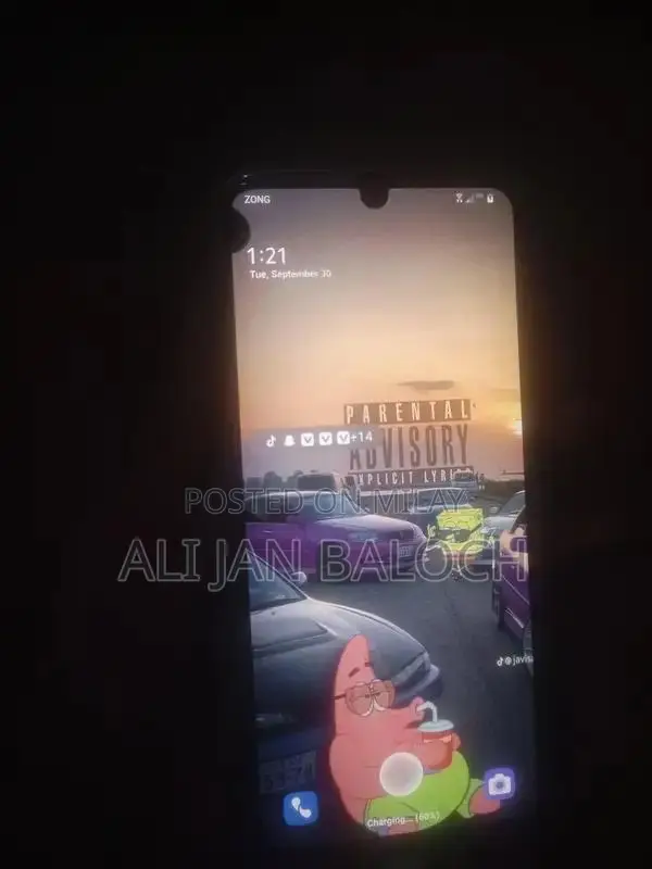 High-Performance Smartphone with Dual Camera and Speakers