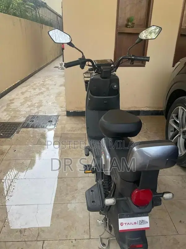 TailG Electric Scooter - Long Range Urban Commuter