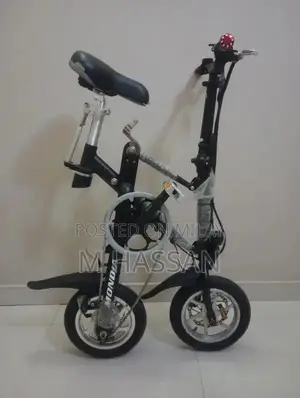 Photo - Used Electric Bicycle Without Battery