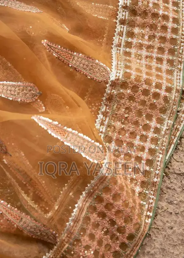 Women's Embroidered Dupatta Sharara Ensemble with Detailed Embellishme