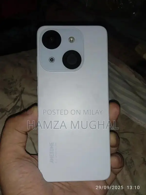 Budget Smartphone with Dual Camera and Compact Design