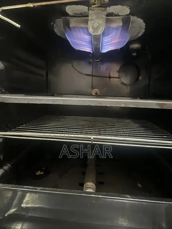 Eco-534 Double Door Cooking Range - Kitchen Appliance