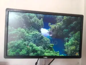 Dell 24-Inch Full HD Monitor with Thin Display Line