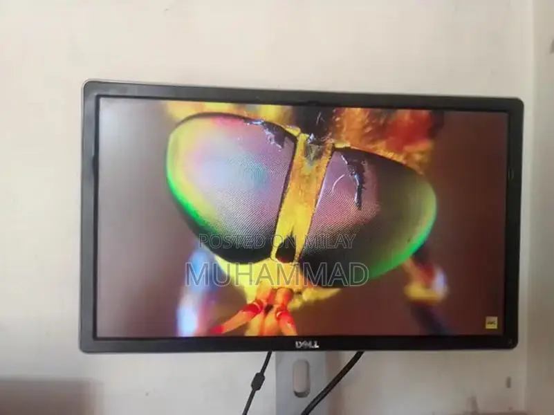 Dell 24-Inch Full HD Monitor with Thin Display Line