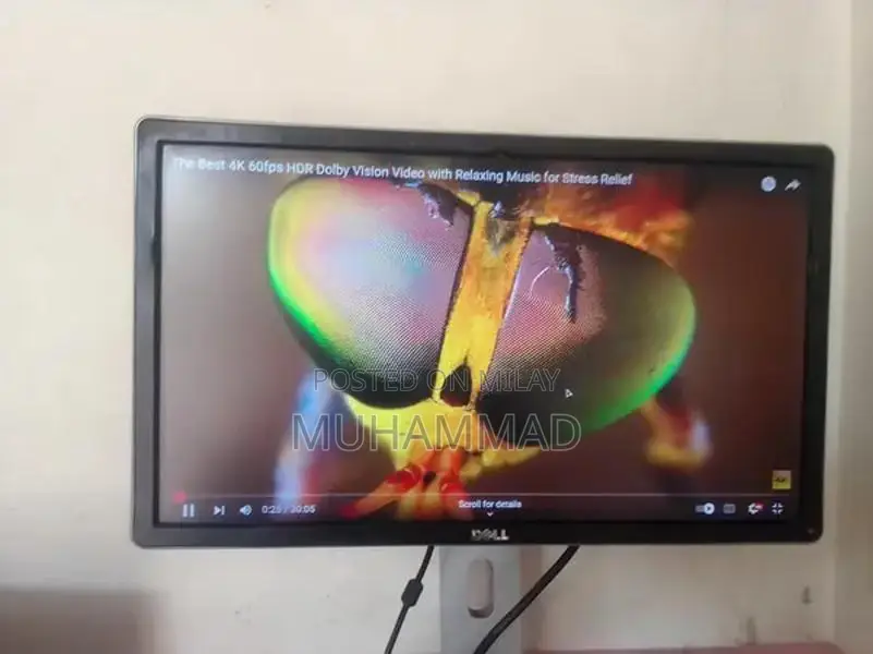 Dell 24-Inch Full HD Monitor with Thin Display Line