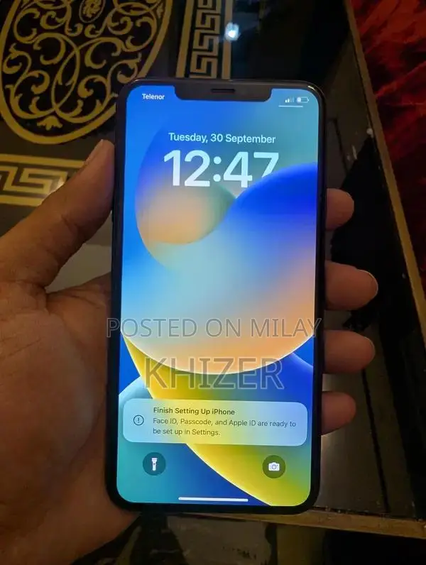 iPhone XS Max 256GB Smartphone with High Battery Health