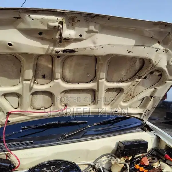 Suzuki Alto Compact Hatchback with CNG Fuel System