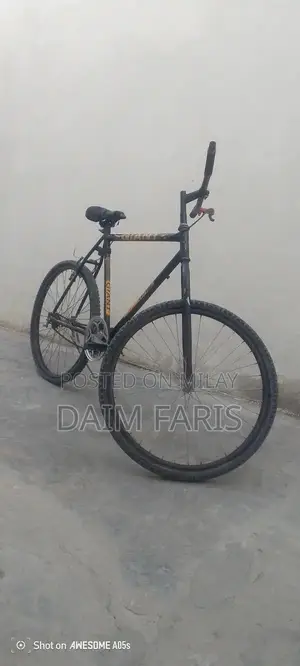 Photo - Well-Maintained Bicycle - Versatile City and Trail Ride